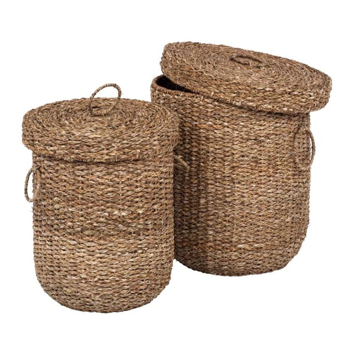Laundry baskets with lids 2 pcs - Seaweed - Dixie