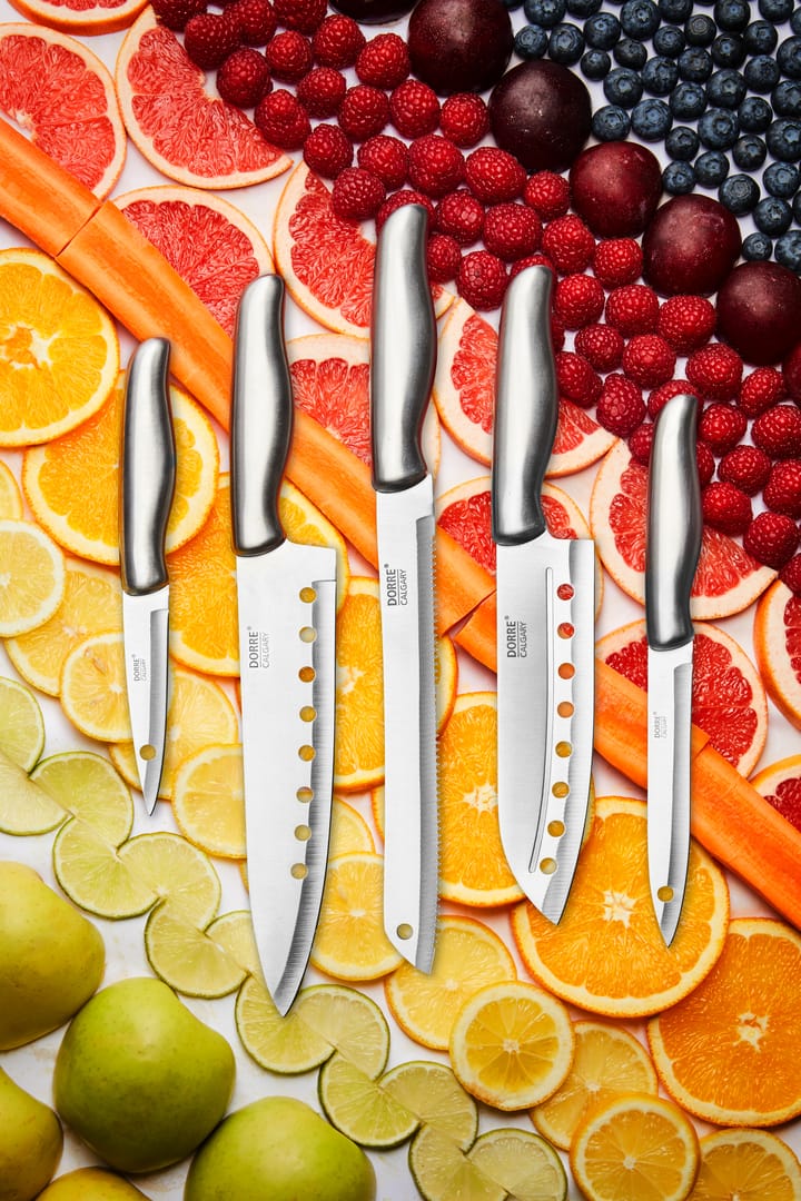 Calgary knife set 5 pieces, Stainless steel Dorre