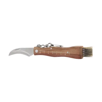 Stuti mushroom knife brown wooden handle with brush 13x2 cm - Stainless steel - Dorre