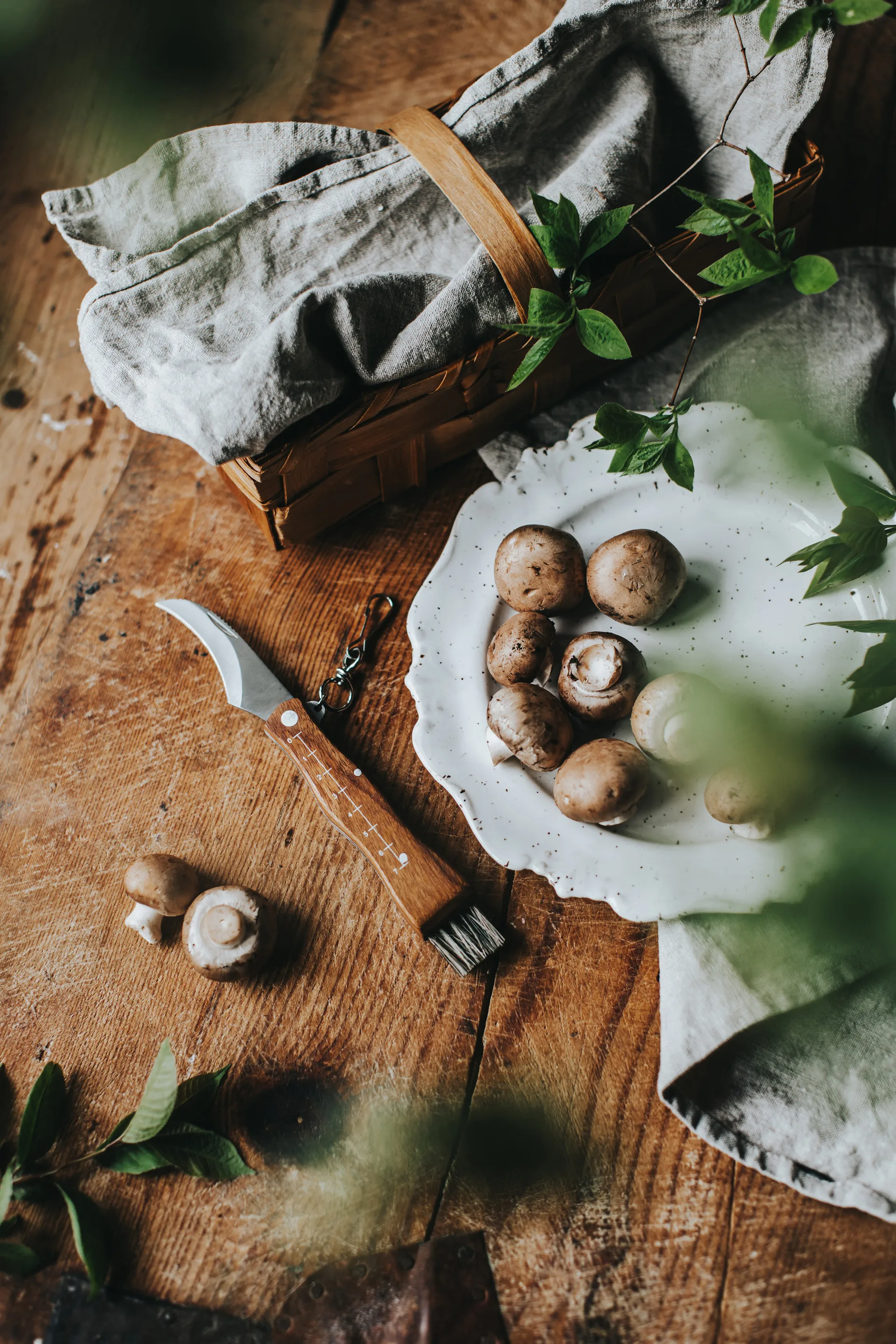 Stuti mushroom knife brown wooden handle with brush 13x2 cm, Stainless steel Dorre