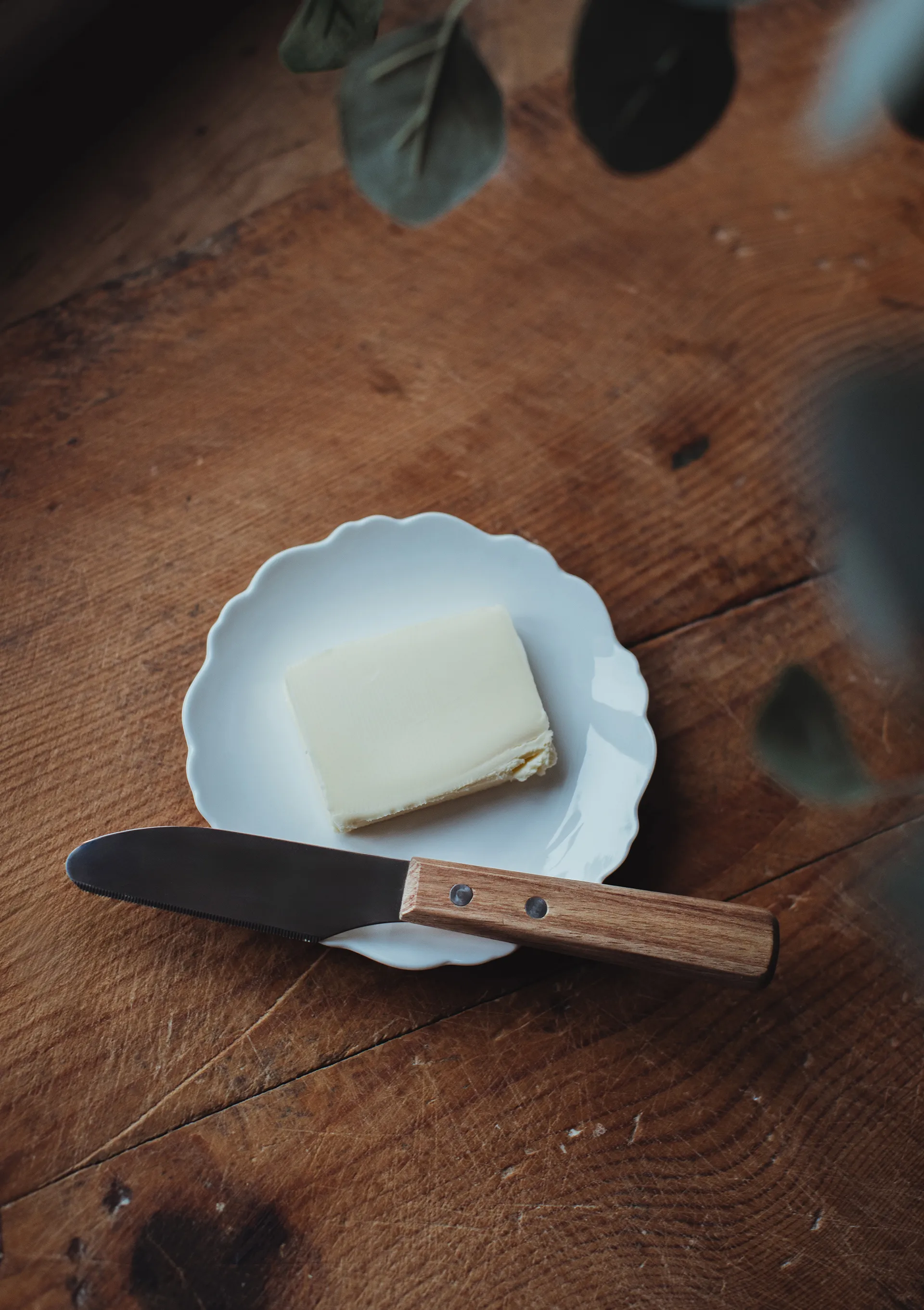 Sylvia butter knife, Stainless steel, wooden handle, 22 cm Dorre