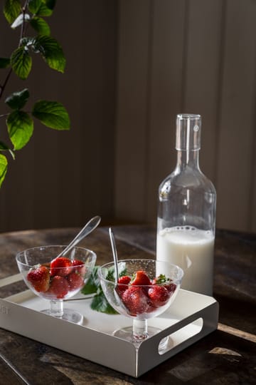 Ernst bowl bubbly glass 2-pack - Clear - ERNST