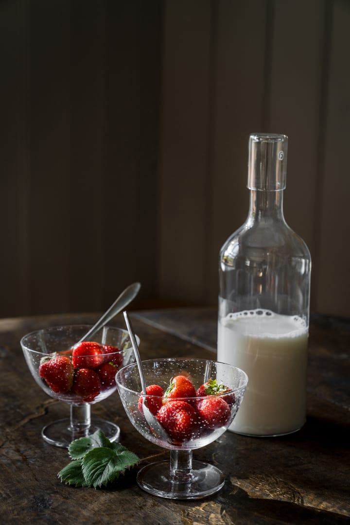 Ernst bowl bubbly glass 2-pack, Clear ERNST