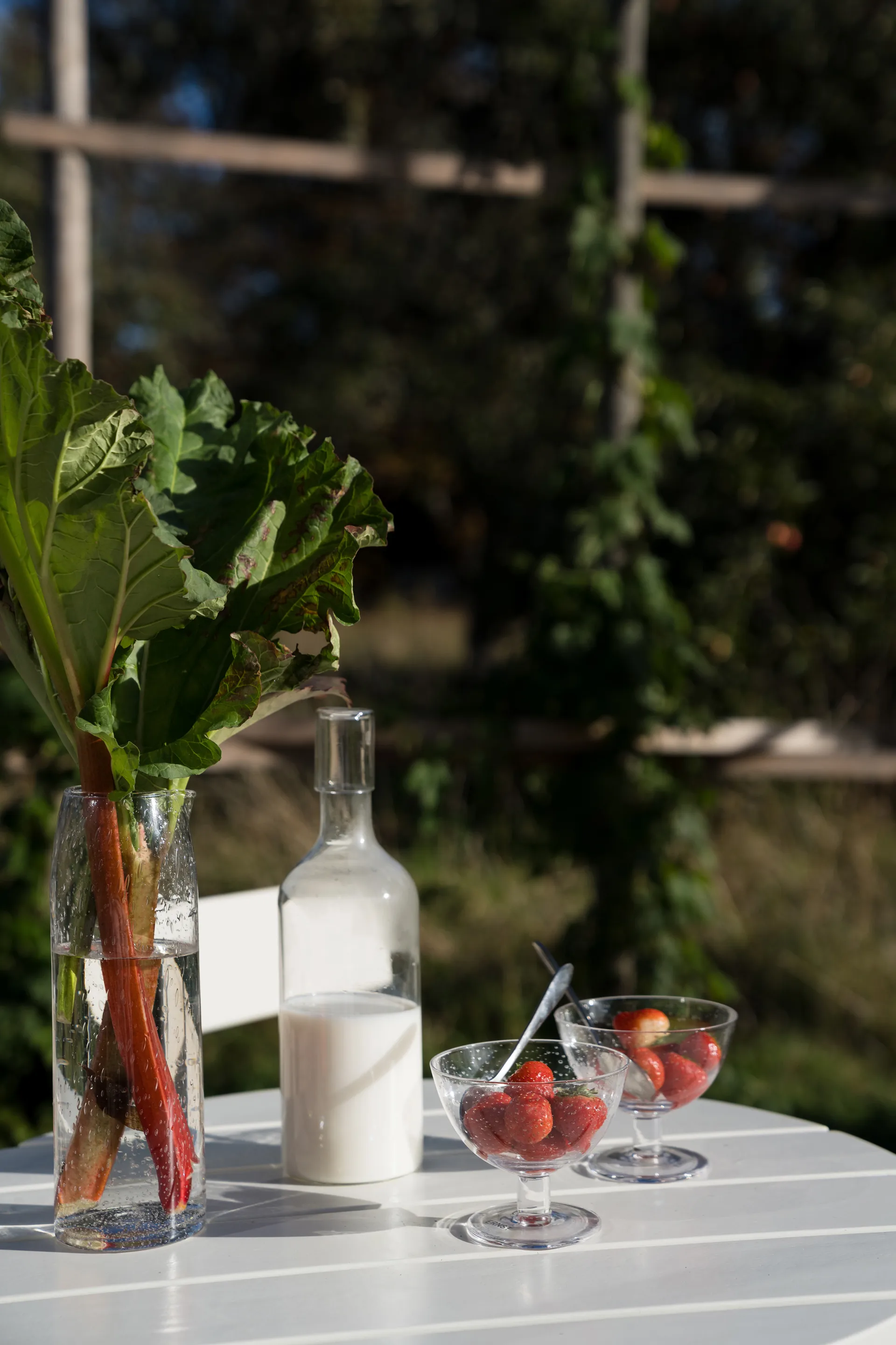 Ernst bowl bubbly glass 2-pack, Clear ERNST