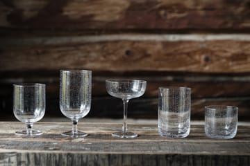 Ernst drinking glass bubbly glass 50 cl 2-pack - Clear - ERNST