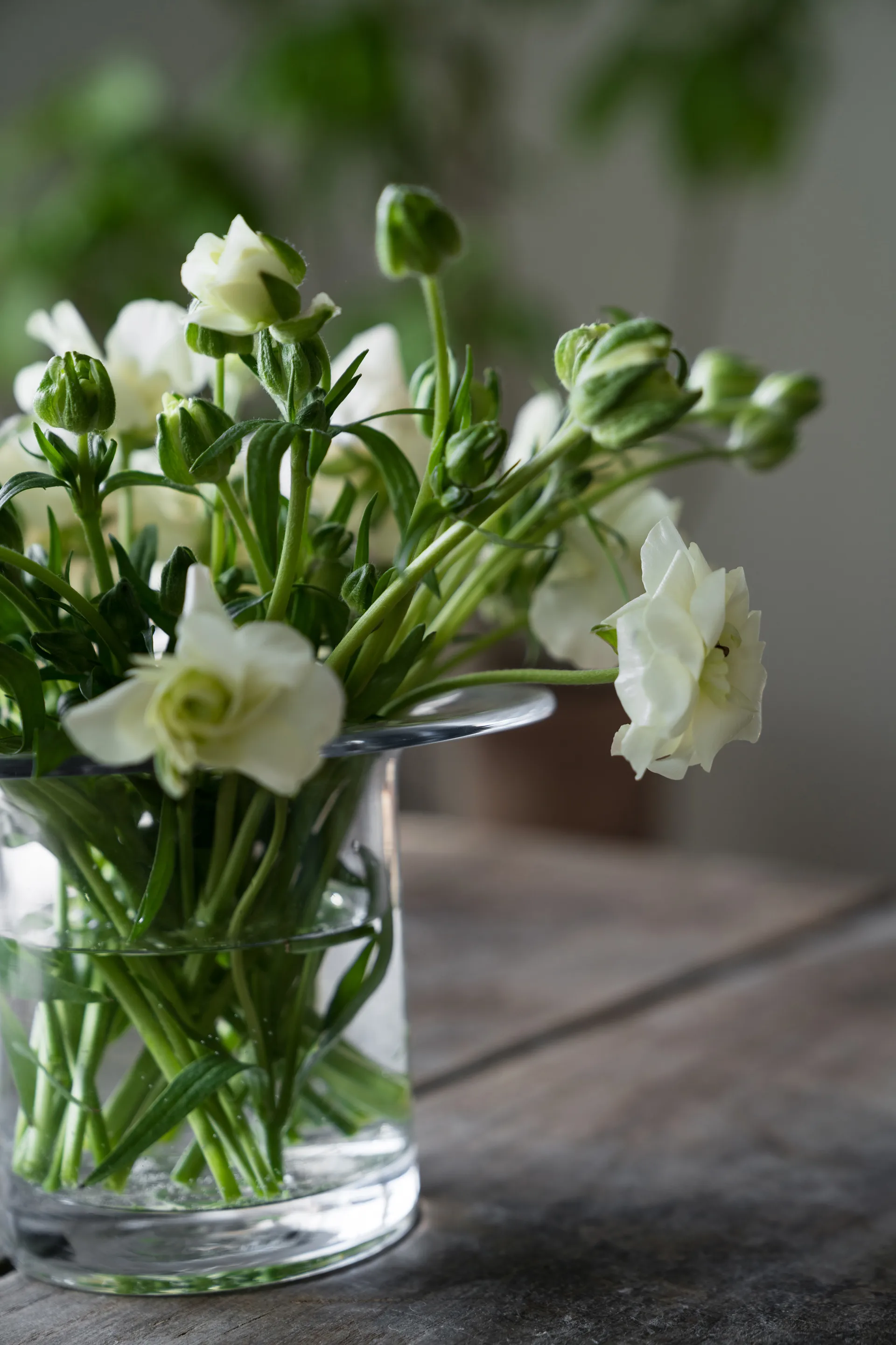 Ernst glass vase Ø17 cm, H 13 cm ERNST