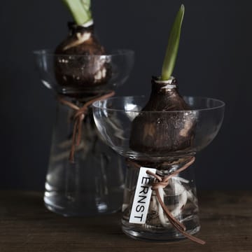 Ernst Hyacinth vase 11 cm - Clear - ERNST