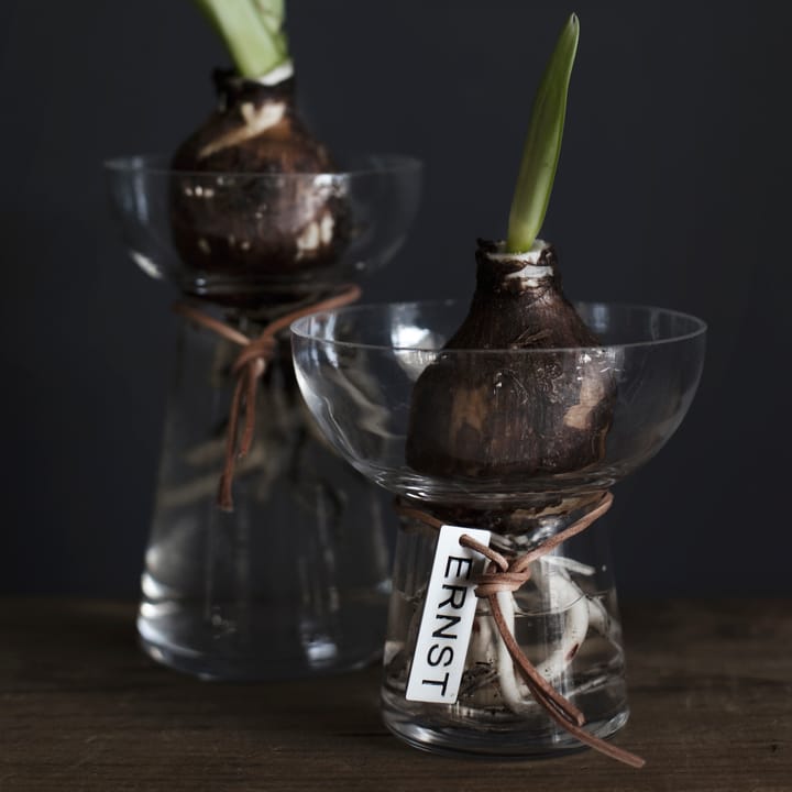 Ernst Hyacinth vase 11 cm, Clear ERNST