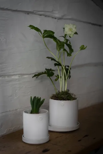 Ernst pot with saucer - White, Ø13x13 cm - ERNST