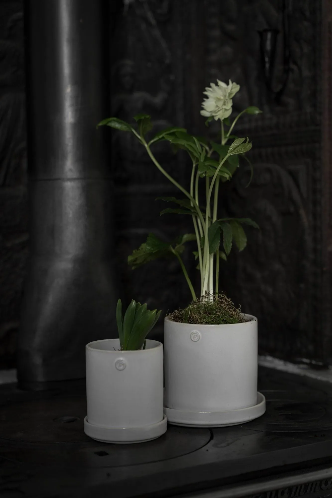 Ernst pot with saucer, White, Ø13x13 cm ERNST