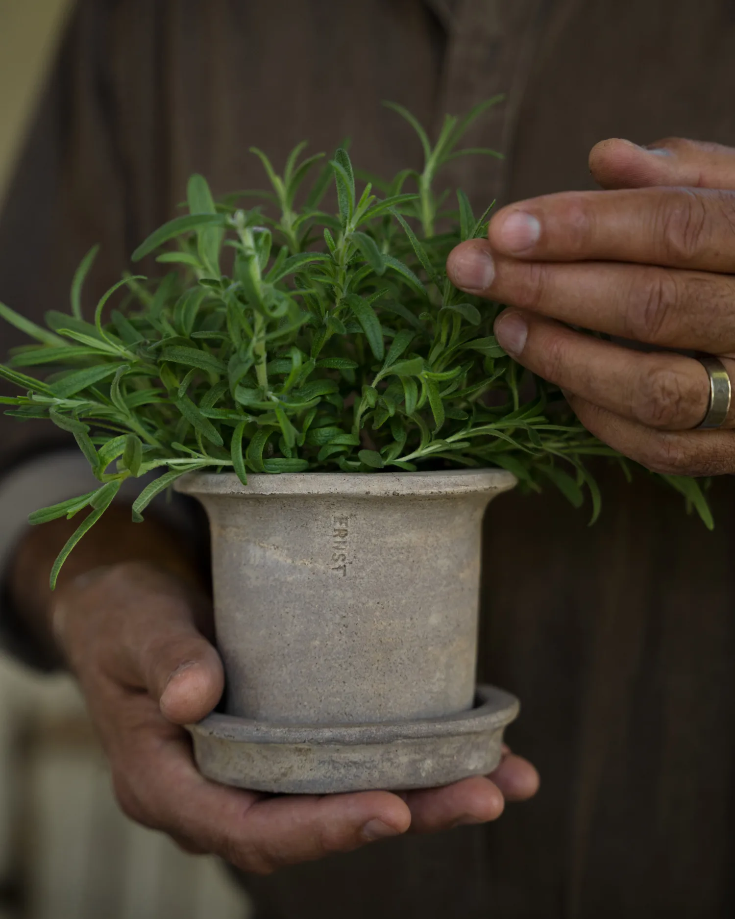 Ernst terracotta pot with saucer, Ø12x10 cm ERNST