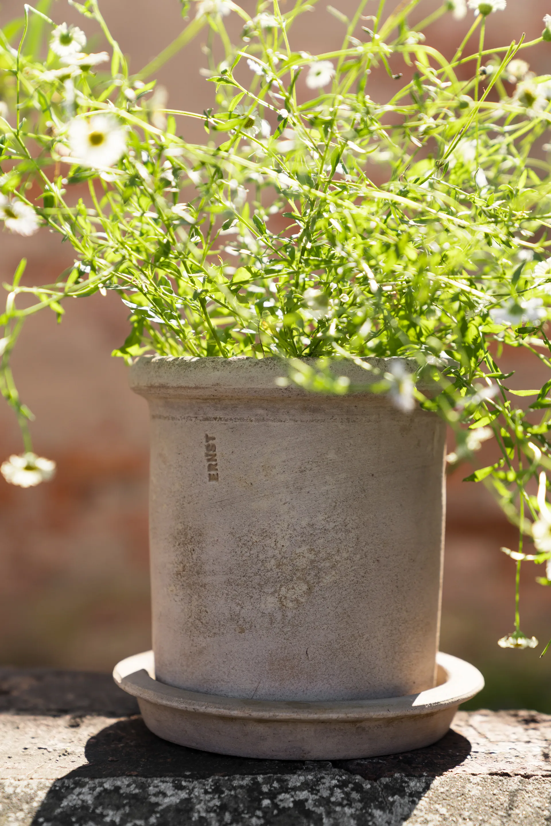 Ernst terracotta pot with saucer, Ø16x16 cm ERNST