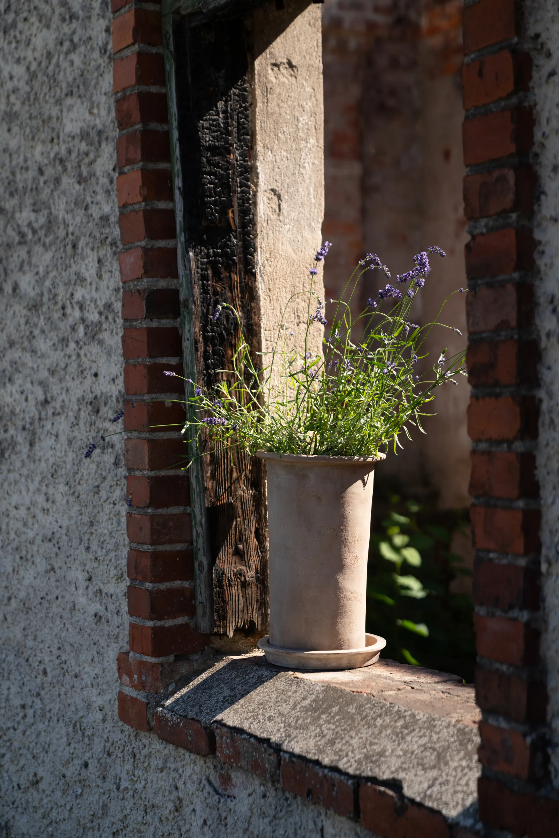 Ernst terracotta pot with saucer, Ø25x35 cm ERNST