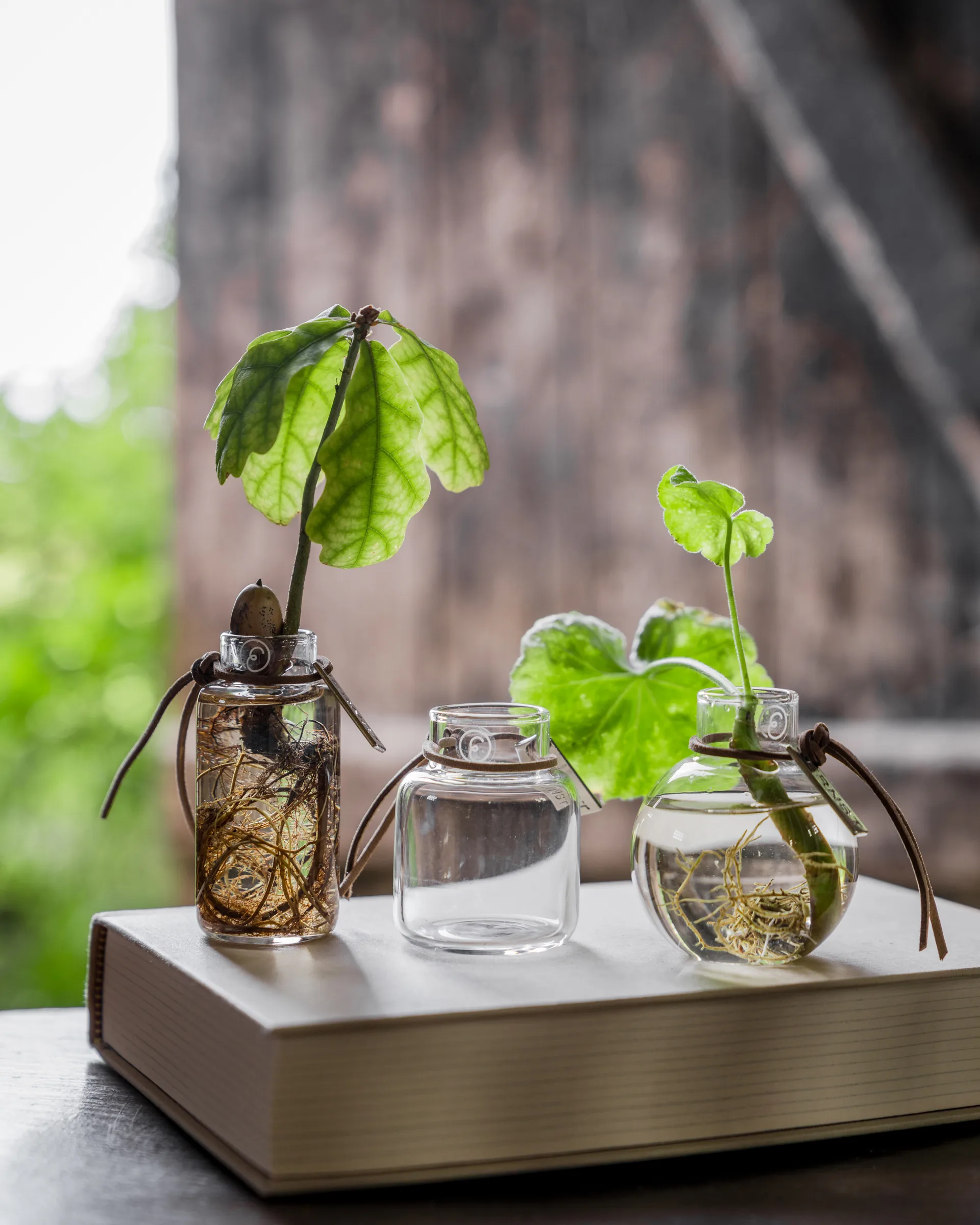 Ernst vase gift set 3 pieces, Clear ERNST