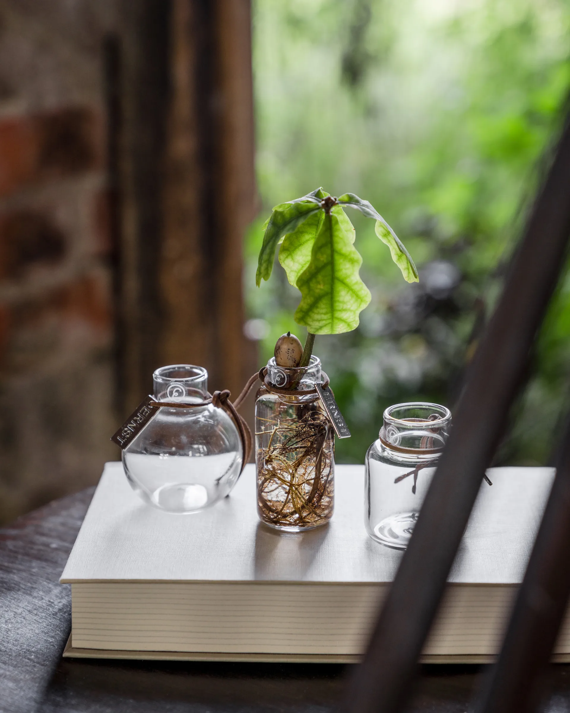 Ernst vase gift set 3 pieces, Clear ERNST