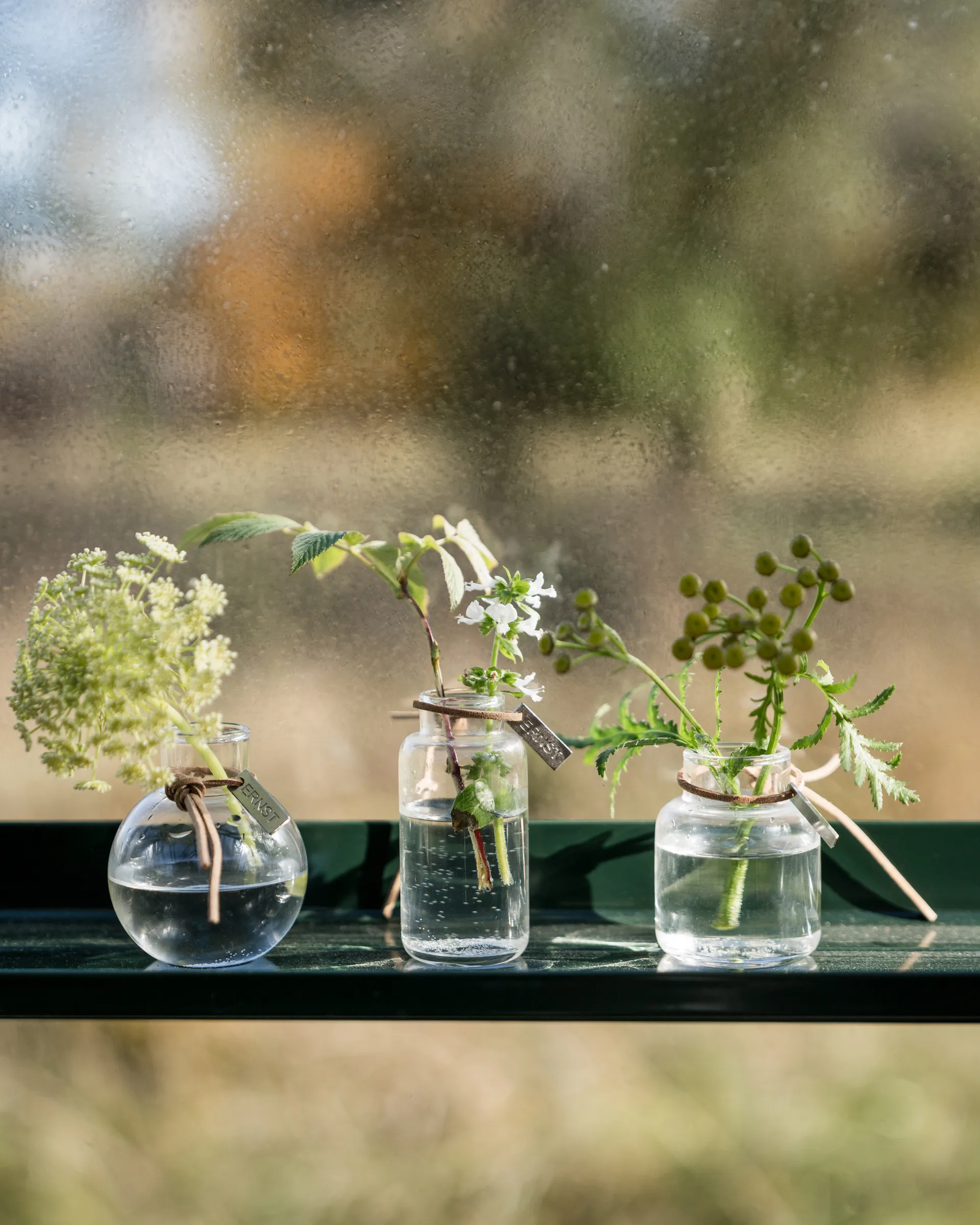 Ernst vase gift set 3 pieces, Clear ERNST