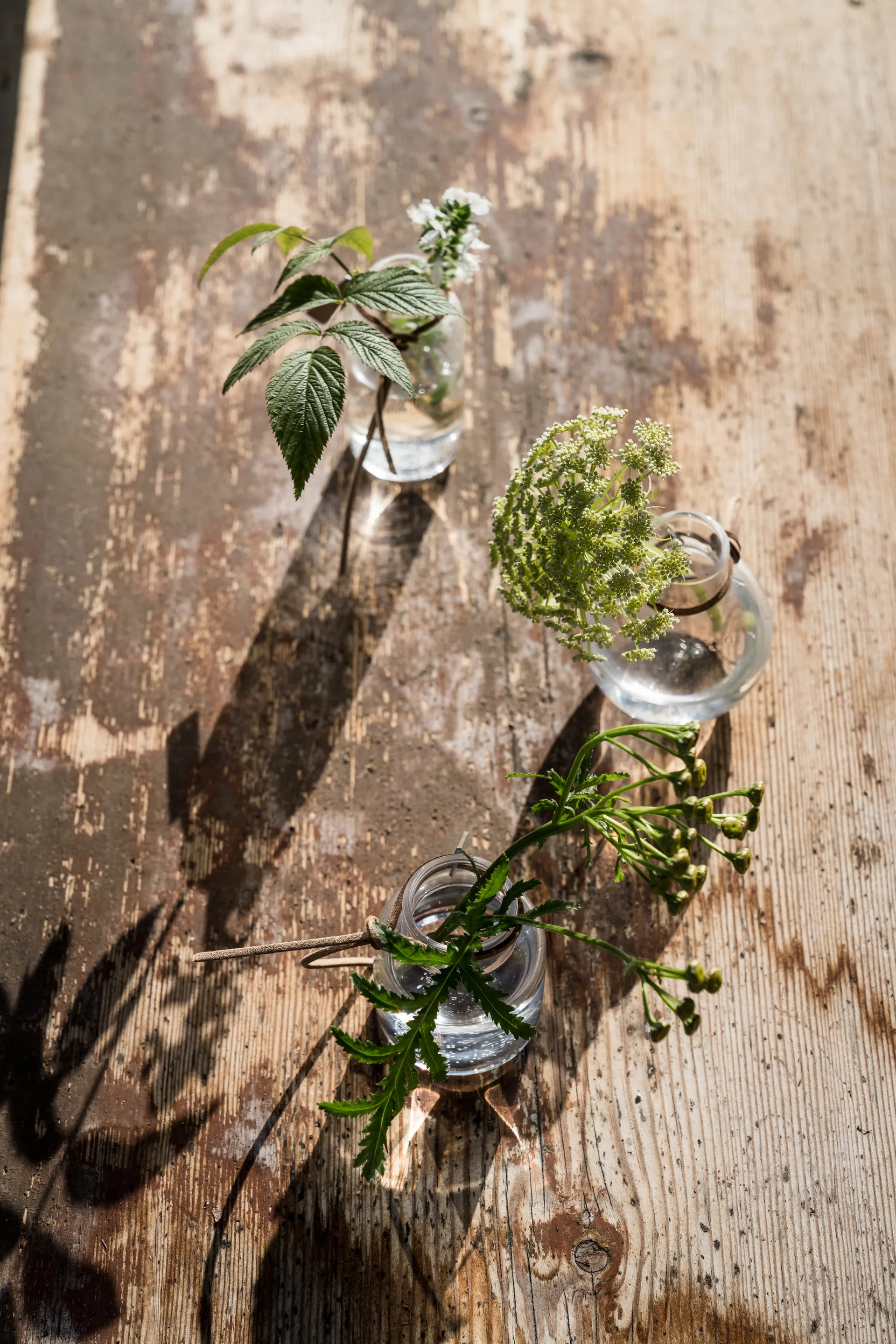 Ernst vase gift set 3 pieces, Clear ERNST