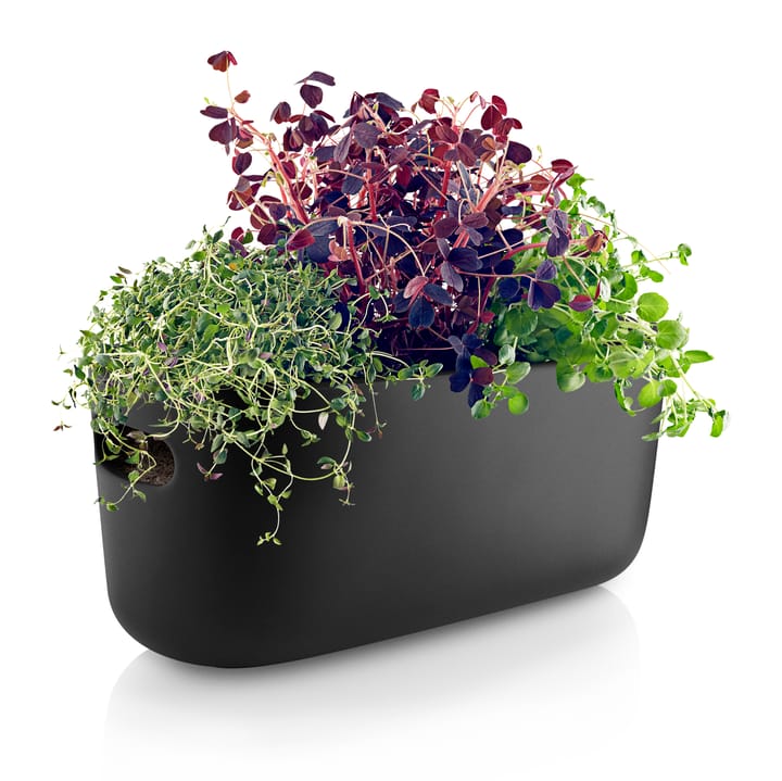 Eva Solo self-watering herb organizer, black Eva Solo