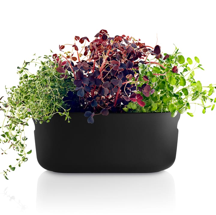 Eva Solo self-watering herb organizer, black Eva Solo