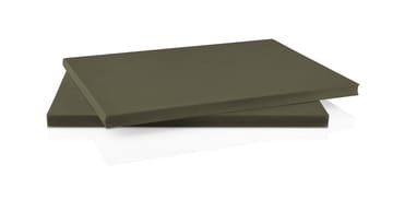 Green Tool DoubleUp cutting board - Green - Eva Solo