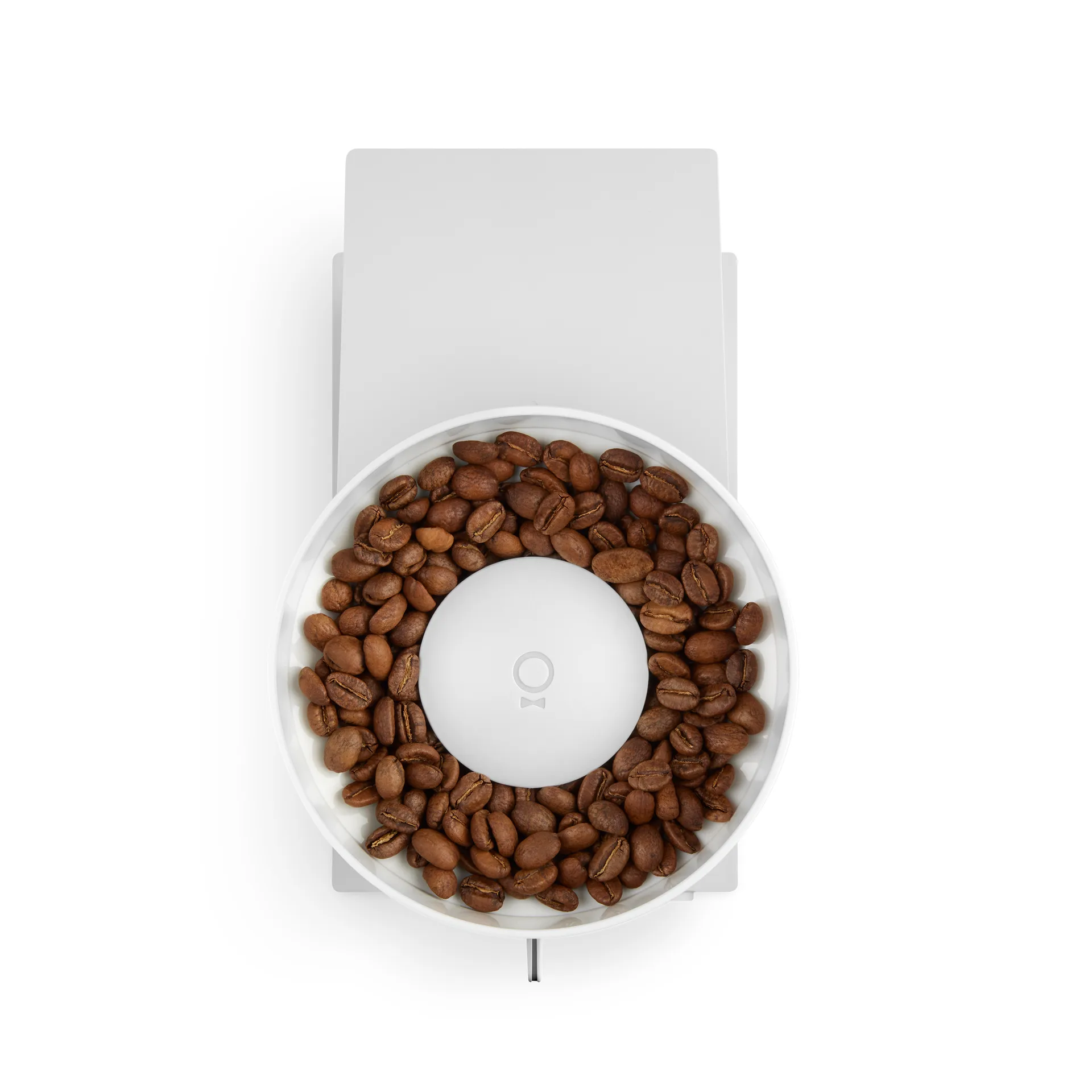 Opus Conical Burr coffee grinder, White Fellow