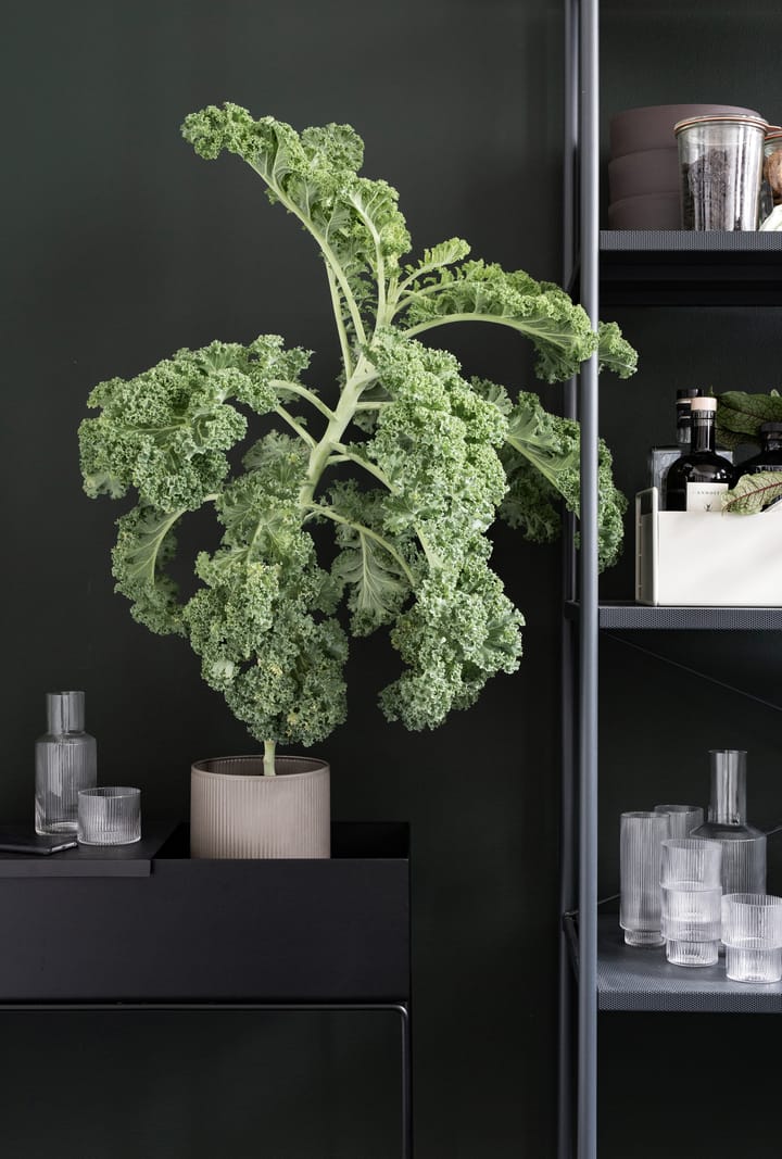 ferm LIVING plant box, black (black) Ferm Living