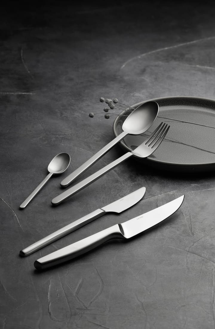 Norm teaspoon, Matte stainless steel Gense