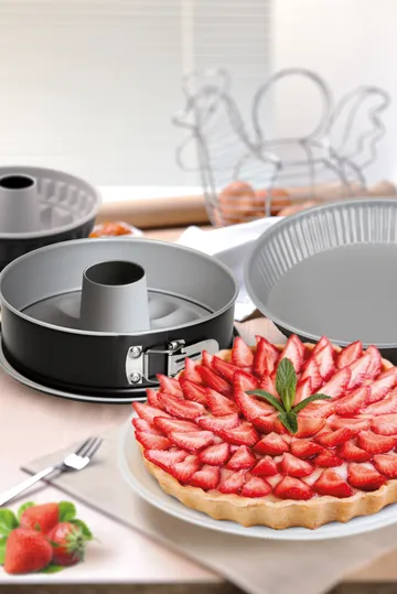 Silver Elegance springform - Steel, including center cone, Ø26 cm - Guardini