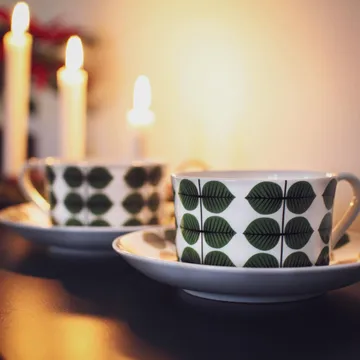 Berså teacup with saucer 35 cl - Green - Gustafsbergs Porslinsfabrik