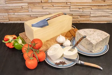 Laguiole By Hâws cheese knife set 3-piece - Olive - Hâws