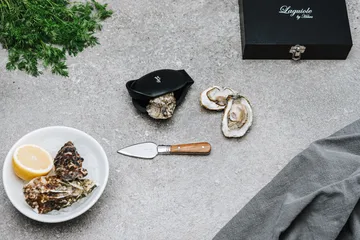 Laguiole by Hâws oyster set 2-piece - Olive wood-stainless steel - Hâws