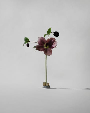 Kenzan vase - Ø2.3 cm - Hein Studio