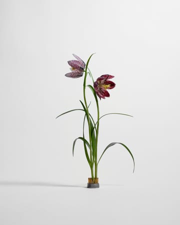 Kenzan vase - Ø2.3 cm - Hein Studio