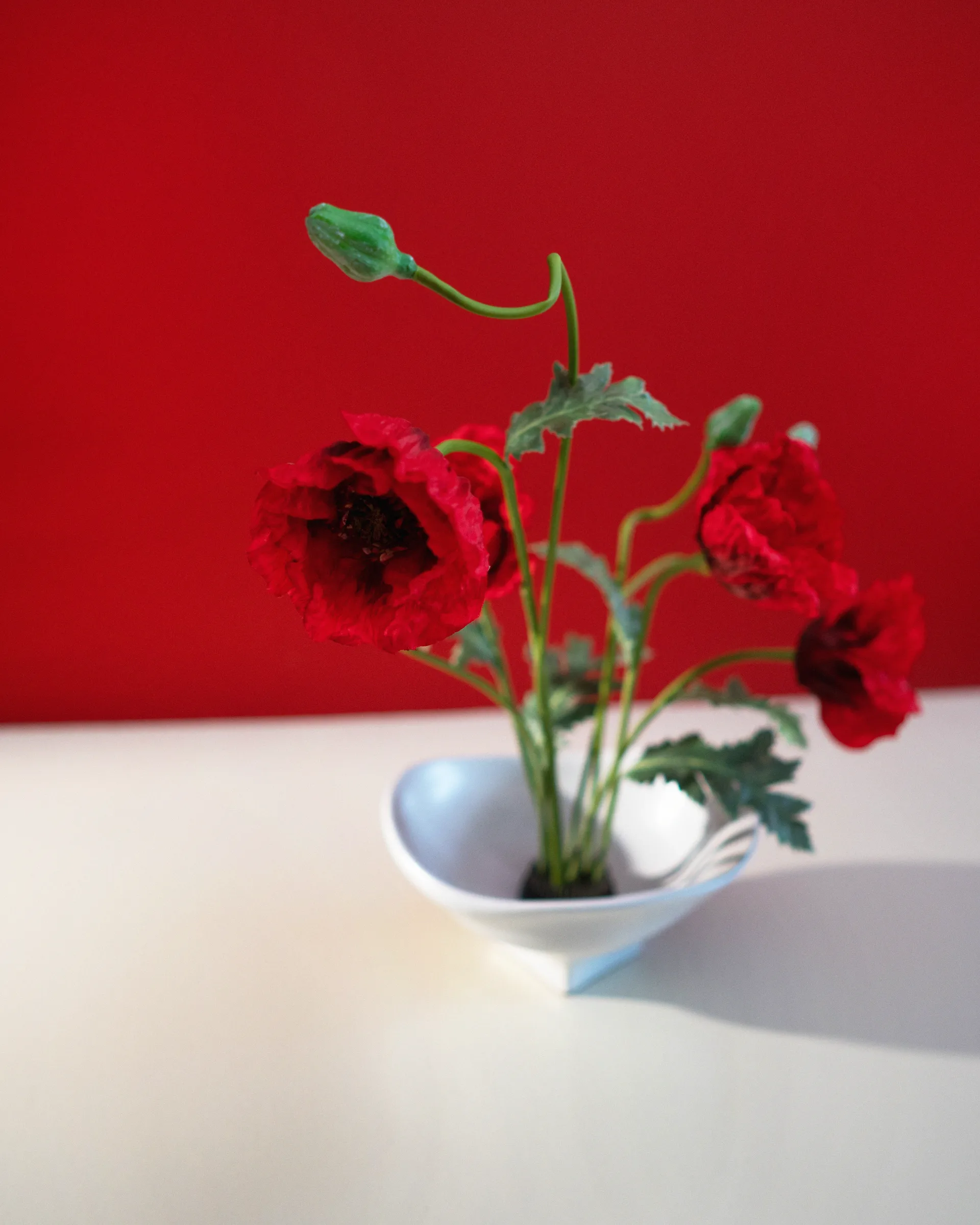 Nami bowl large 20x23 cm, White Hein Studio