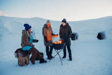 BOWL 57 tripod stand - Silver - Höfats