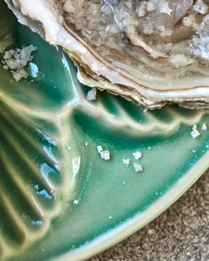 Diva serving platter Ø25 cm, Green House Doctor