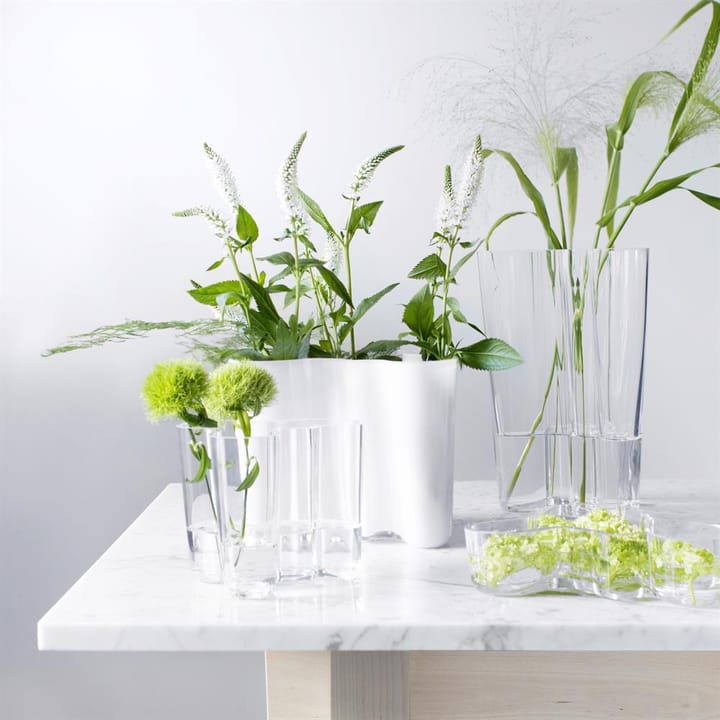Aalto duo vase, clear Iittala