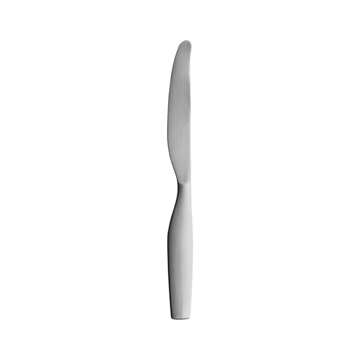 Citterio 98 dessert knife, matte stainless steel Iittala