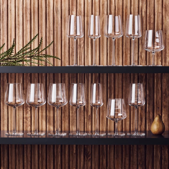 Essence beer glass 2-pack, 2-pack Iittala