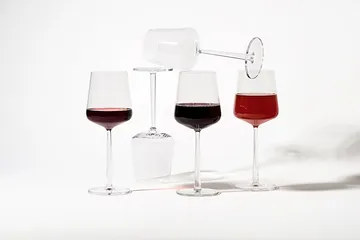 Essence glass set 24 pieces - Iittala