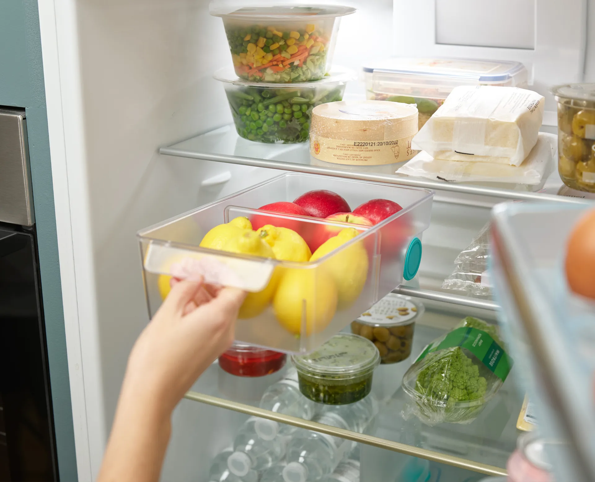 Fridgestore refrigerator storage large, Transparent Joseph Joseph