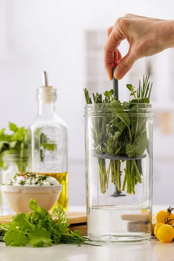 Kilner herb storage - Clear - Kilner