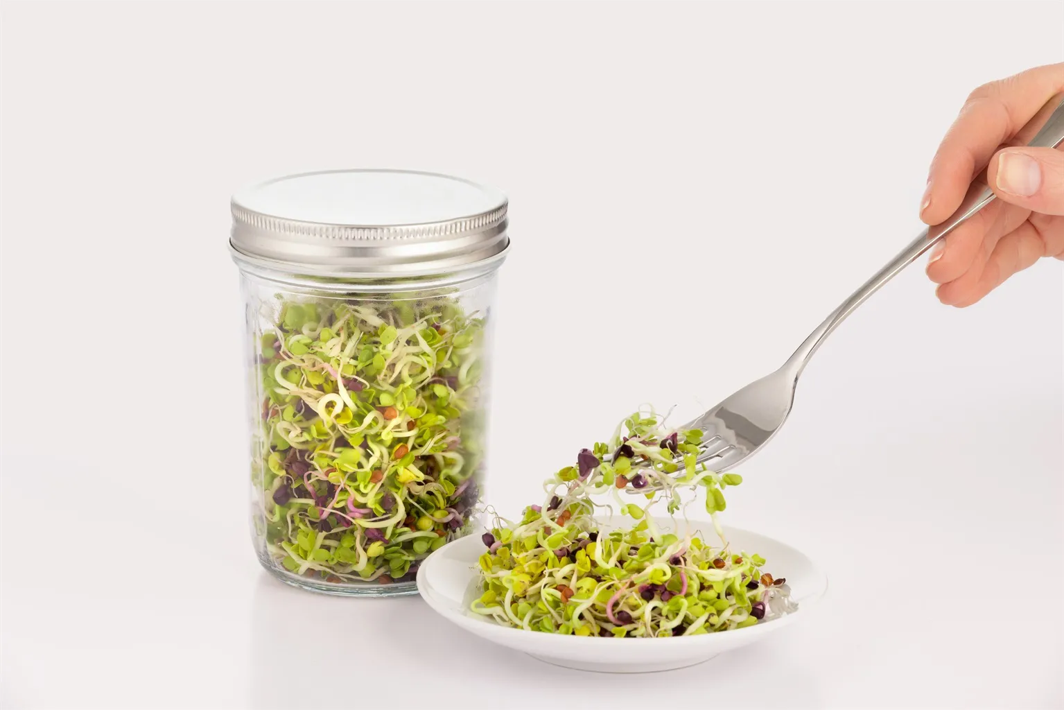 Kilner sprouting set, Clear-white, 500 ml Kilner