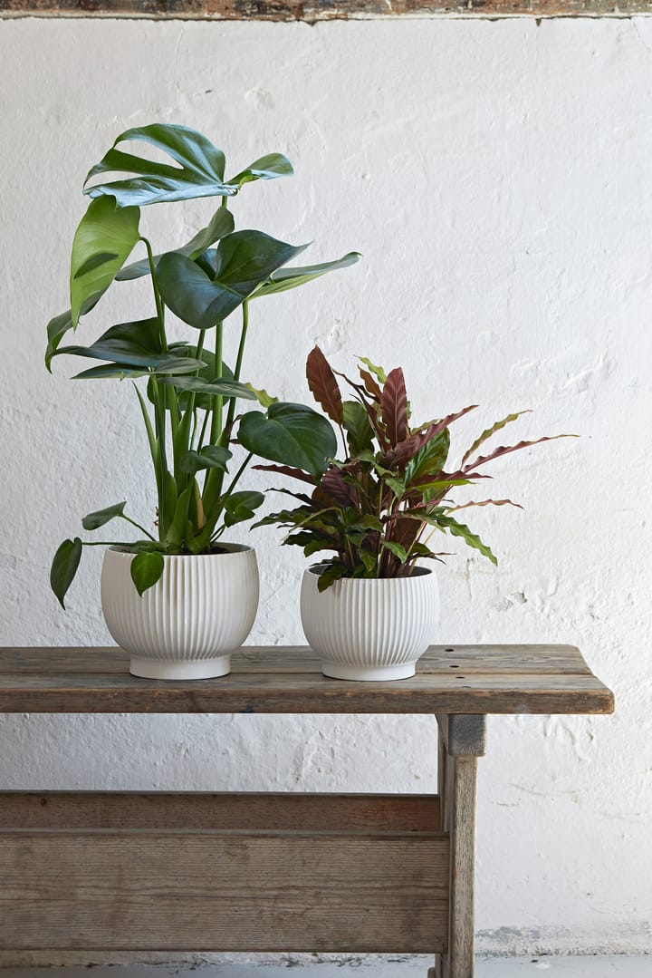 Knabstrup flower pot fluted Ø14.5 cm, White Knabstrup Keramik