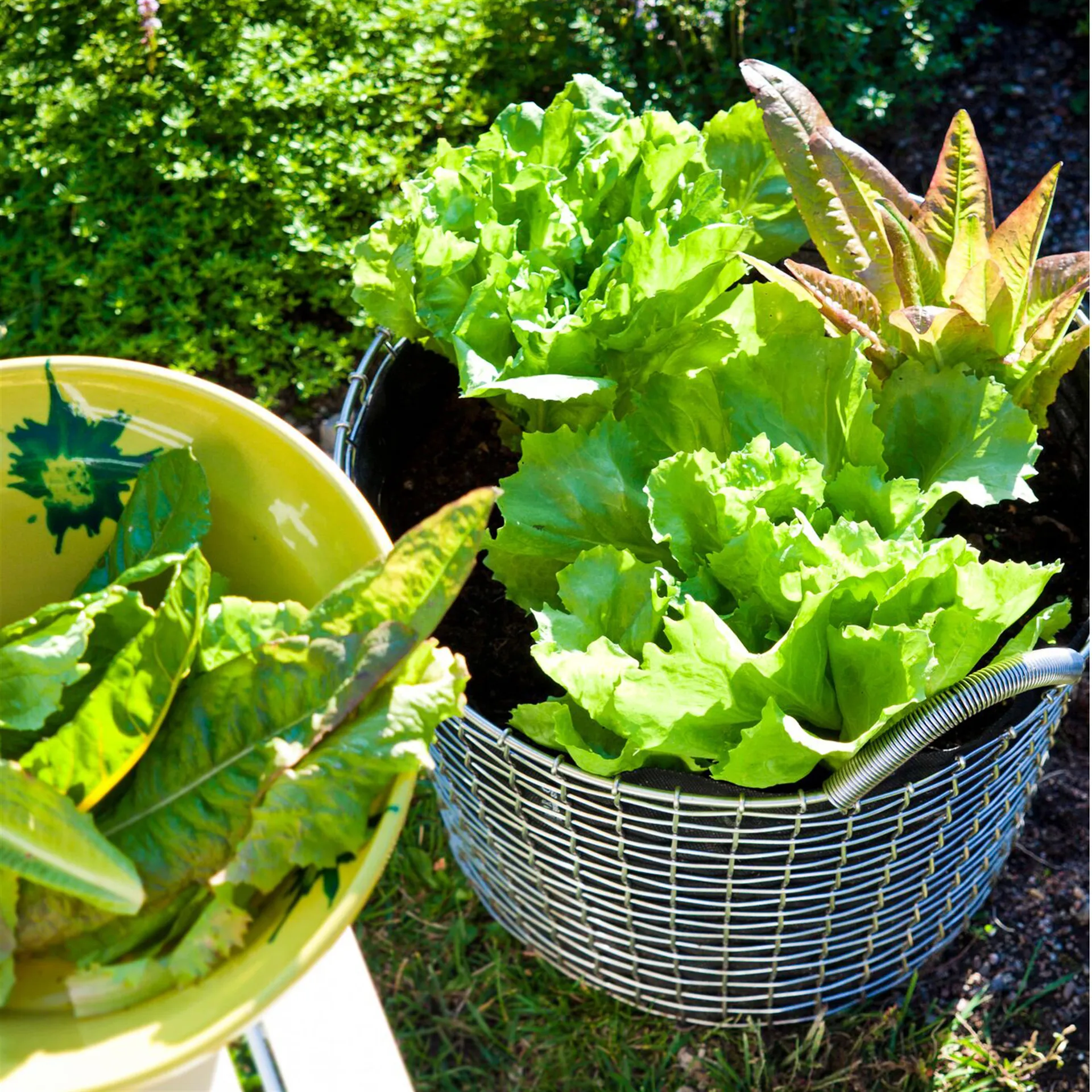 Korbo bin 24, galvanized steel KORBO