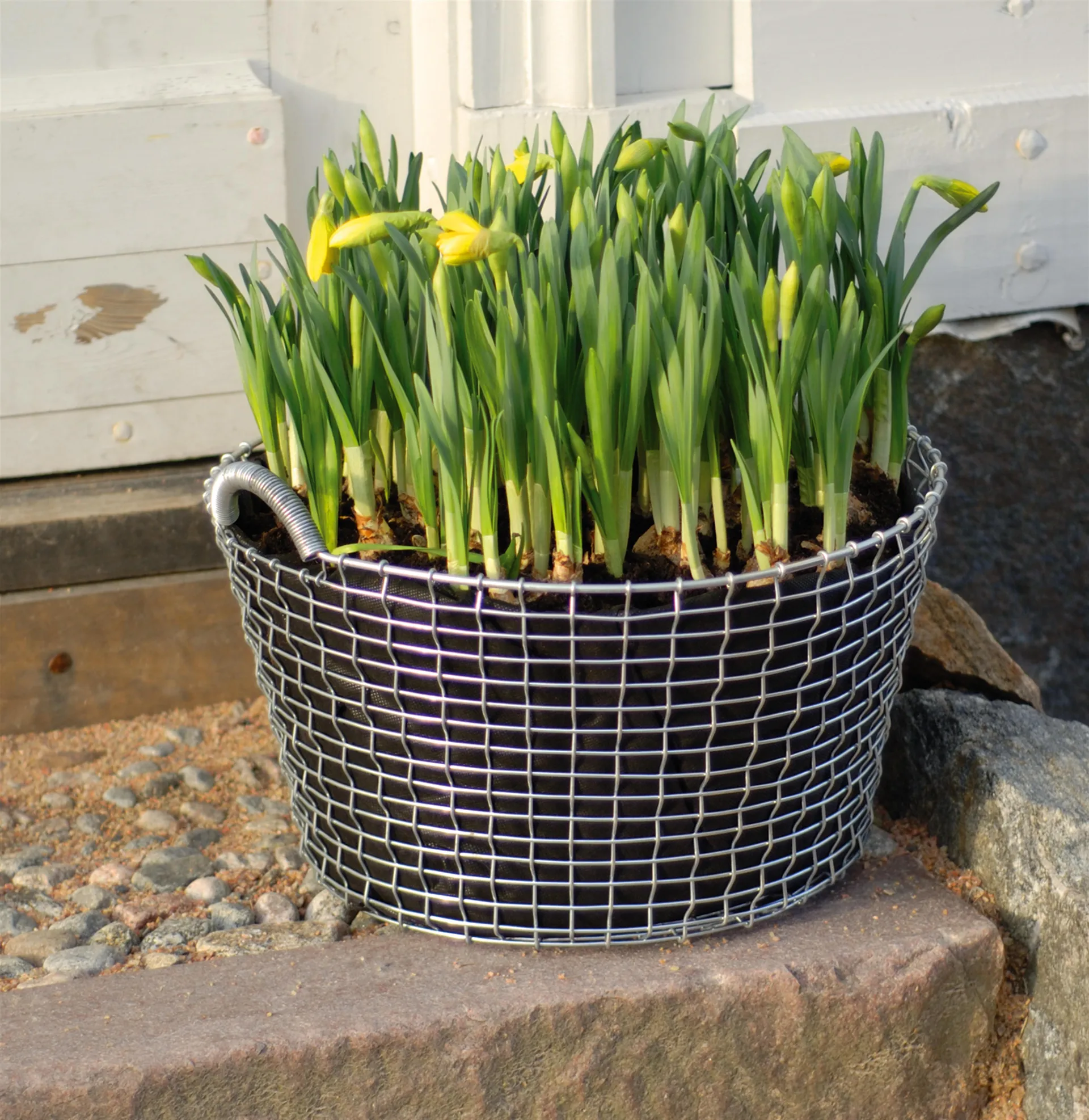 Plant bag for the Korbo basket 3-pack, 24 l KORBO