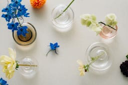 Kappa vase 56 mm, Clear Kosta Boda