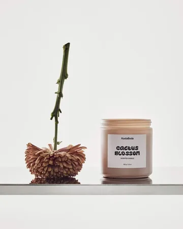 Mind scented candle - Cactus Blossom, 330 g - Kosta Boda