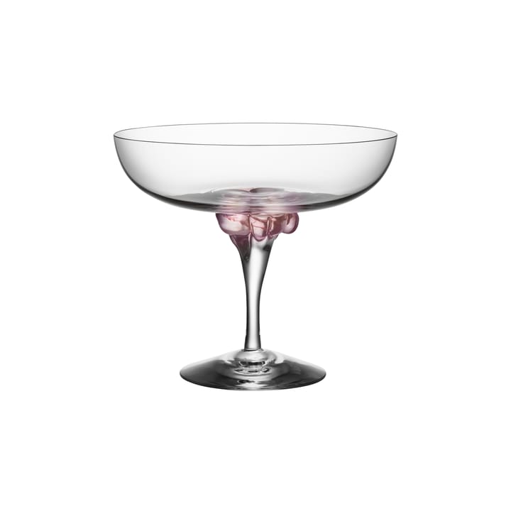 Sugar Dandy coupe glass 32 cl, pink Kosta Boda