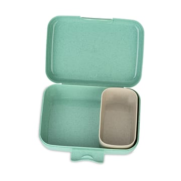 Candy lunch box L - Dinosaur - Koziol